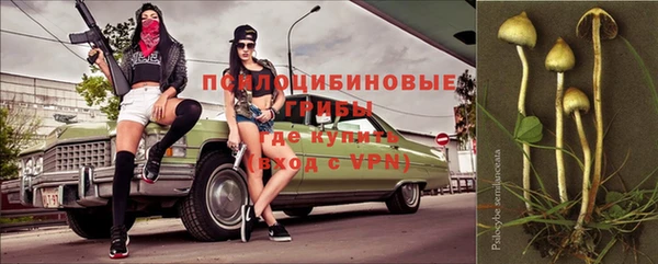 Альфа ПВП Алексин