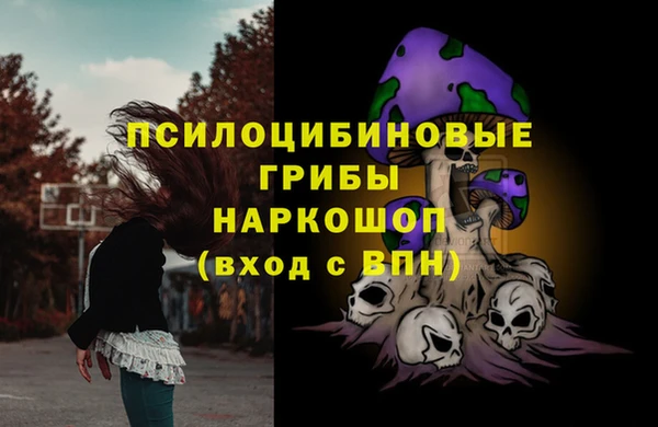дживик Абинск