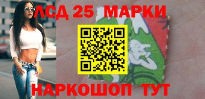a pvp Гатчина