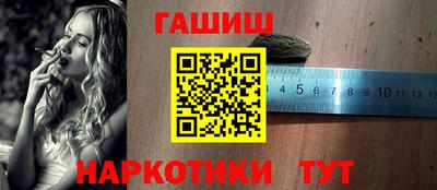 гидра Гай