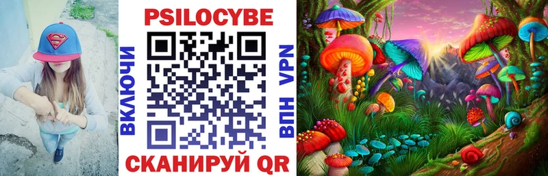 Галлюциногенные грибы Psilocybine cubensis  даркнет сайт  Магадан 