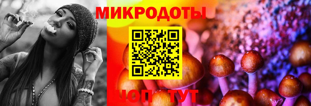 Псилоцибиновые грибы MAGIC MUSHROOMS  Вход с VPN  купить наркотики сайты  Магадан 