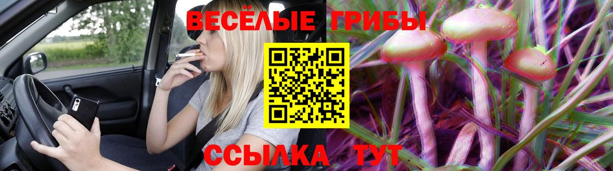 Псилоцибиновые грибы GOLDEN TEACHER Магадан
